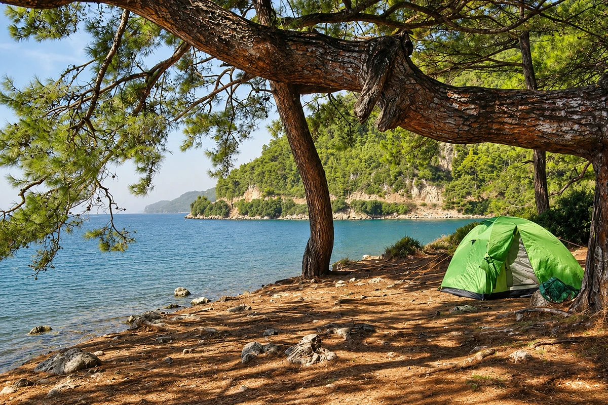 Akyaka Orman Alanı Kamp Alanı