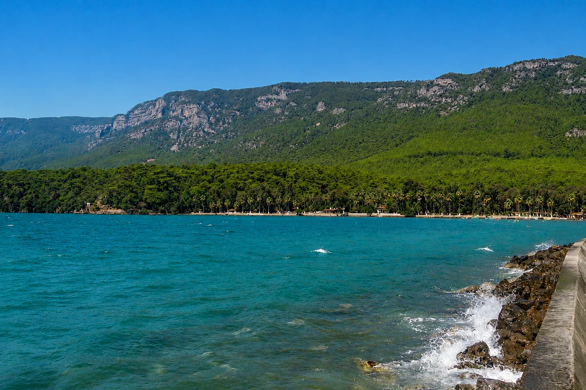 Akyaka Orman Alanı Kamp Görseli 6