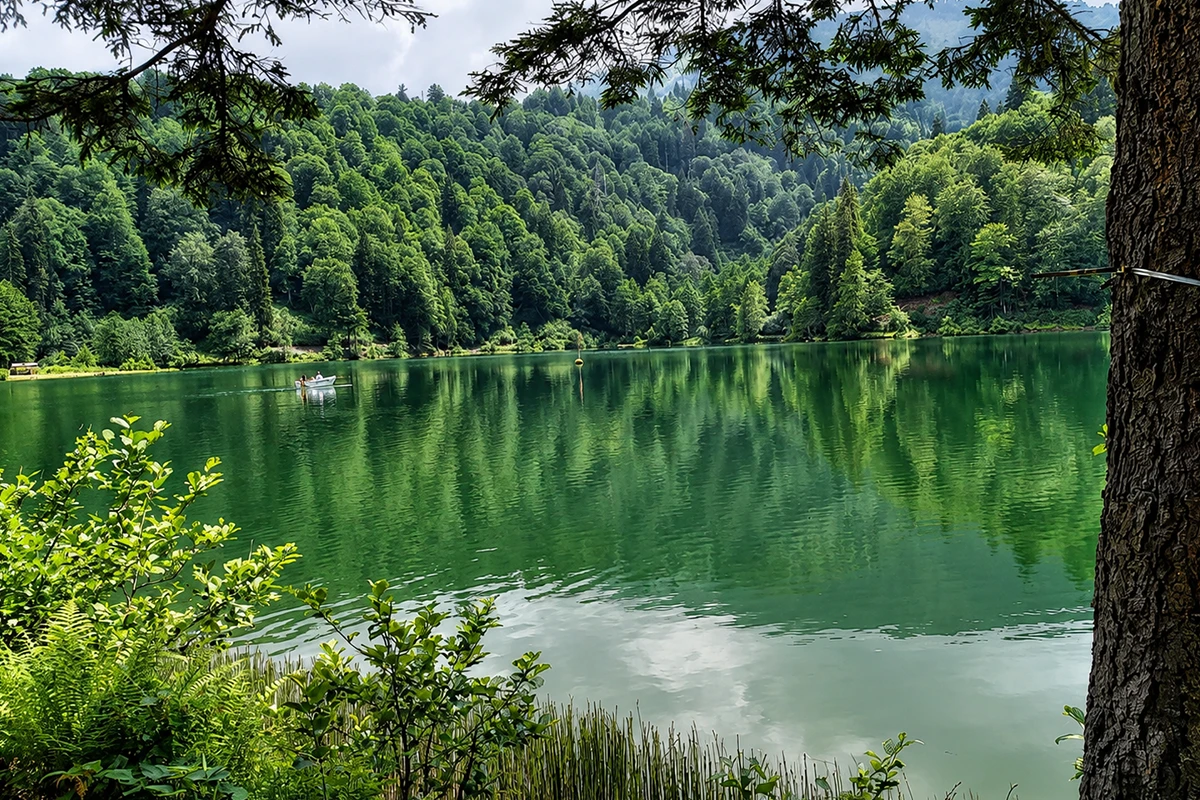 Borçka Karagöl Tabiat Parkı Kamp Görseli 4