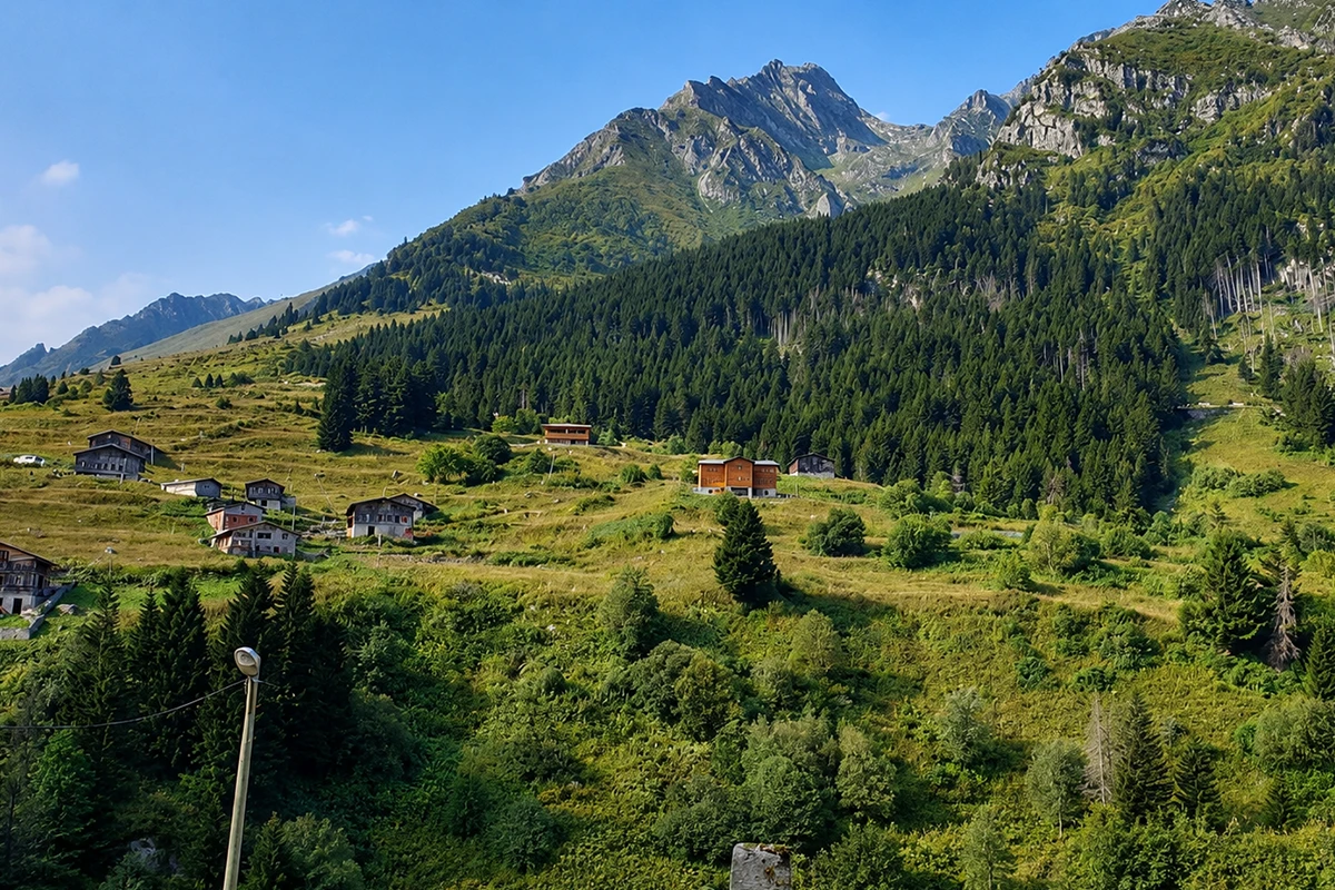 Elevit Yaylası Kamp Görseli 2