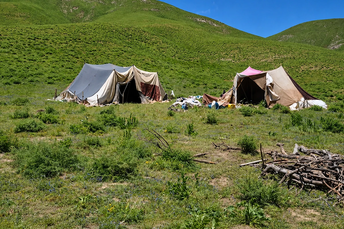 Faraşin Yaylası Kamp Görseli 4