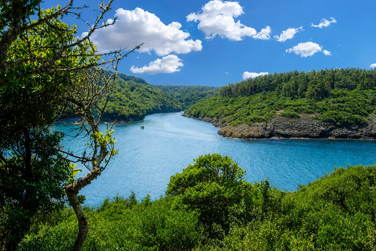 Hamsilos Tabiat Parkı Kamp Görseli 2