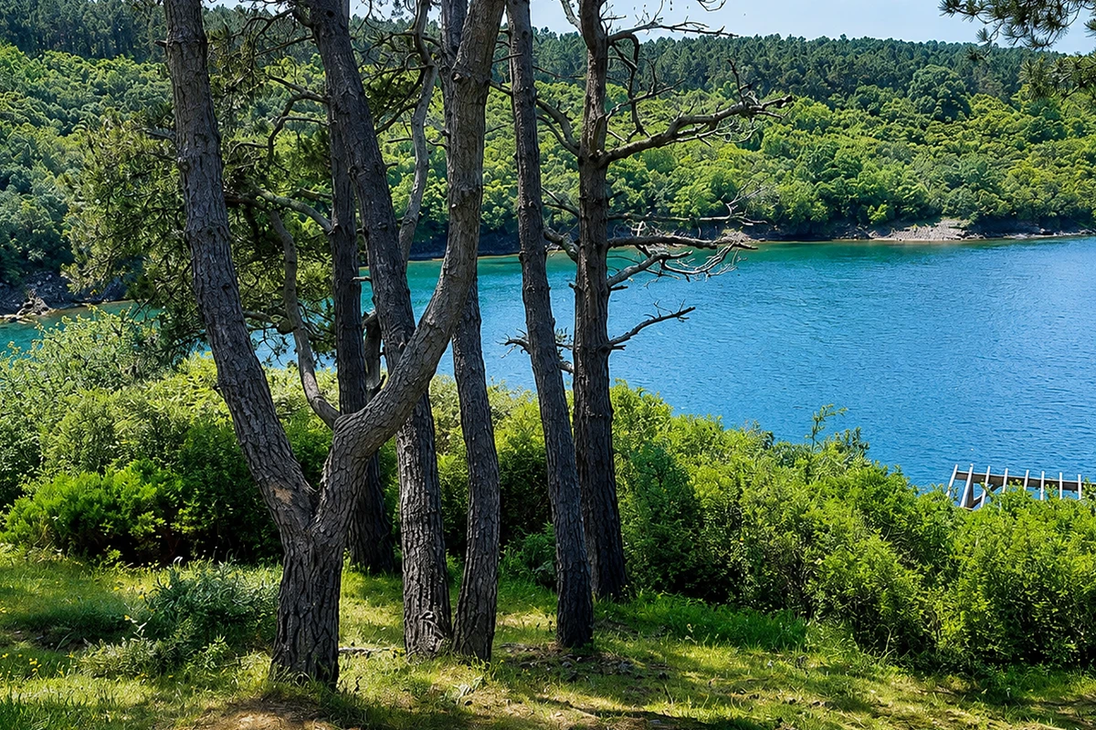 Hamsilos Tabiat Parkı Kamp Görseli 4