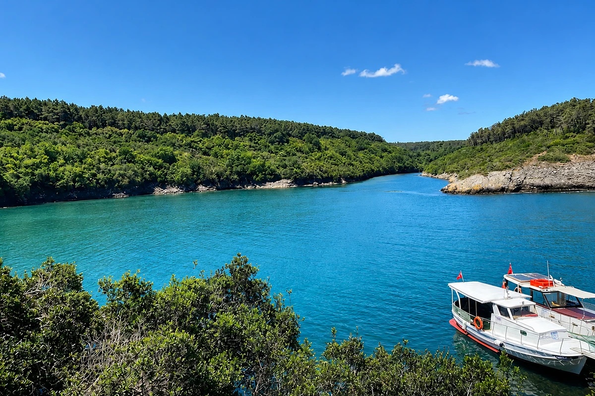 Hamsilos Tabiat Parkı Kamp Görseli 5
