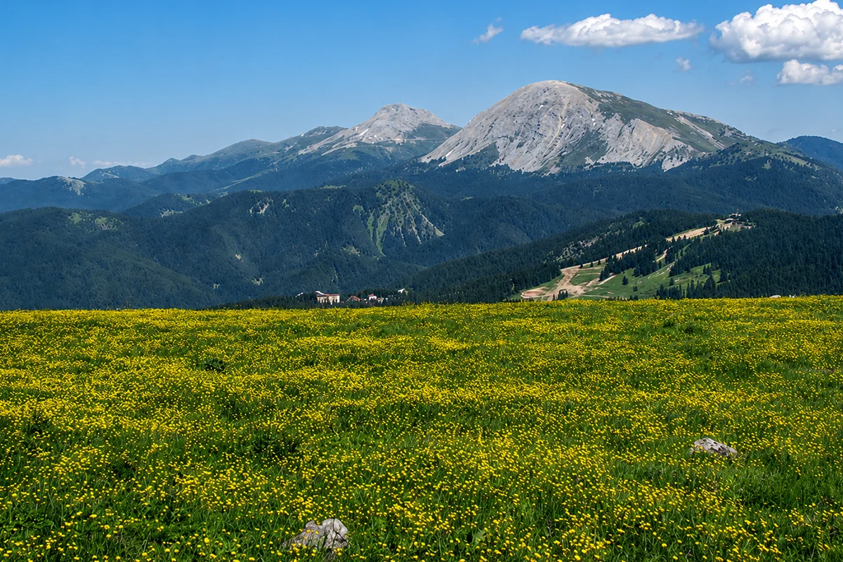 Ilgaz Dağı Milli Parkı Kamp Alanı
