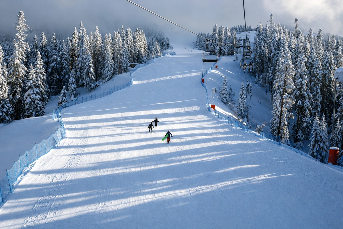Ilgaz Dağı Milli Parkı Kamp Görseli 4