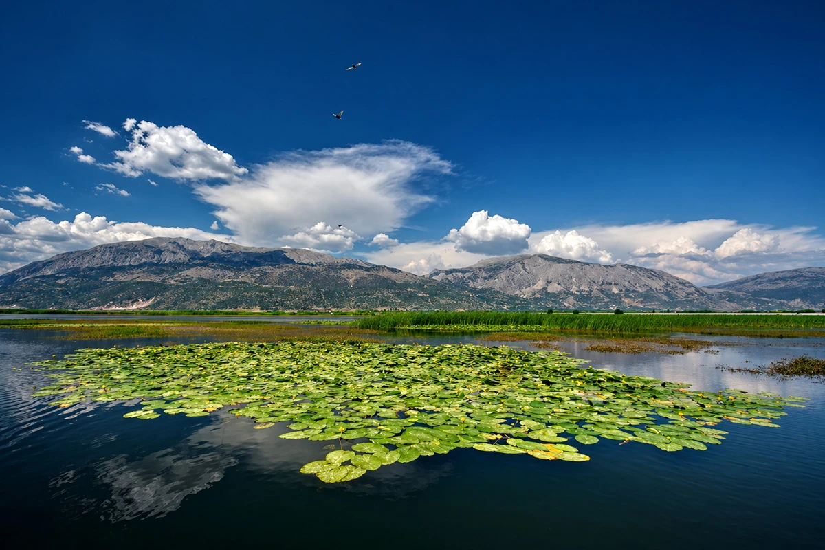 Işıklı Gölü Kamp Alanı