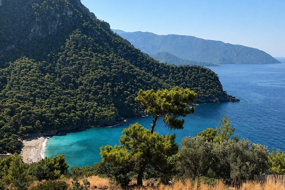 Kabak Koyu Kamp Alanı