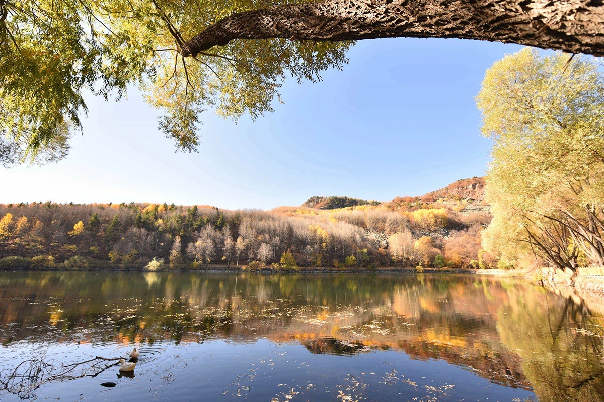 Karagöl Tabiat Parkı (Çubuk) Kamp Alanı