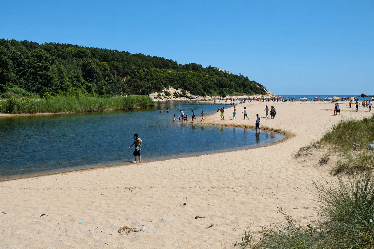 Çamlıkoy (Kastro) Koyu Tabiat Parkı Kamp Görseli 2