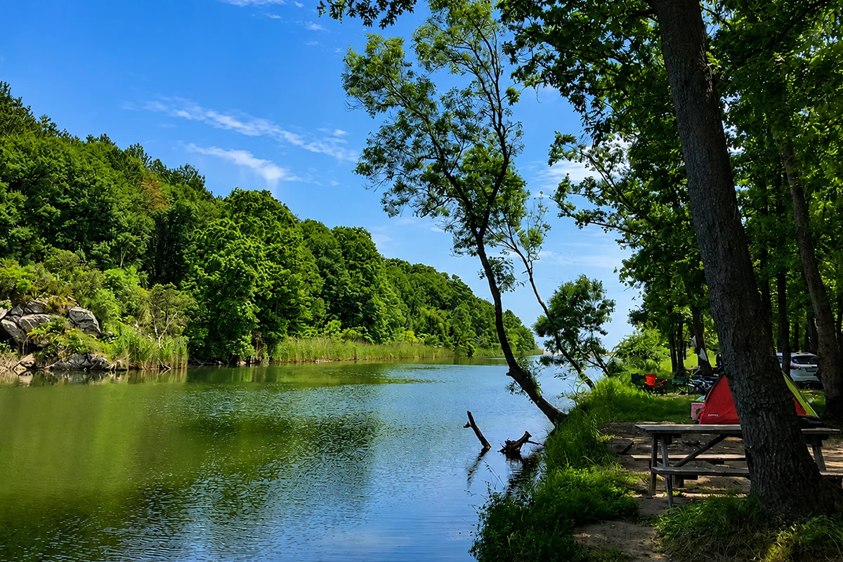Çamlıkoy (Kastro) Koyu Tabiat Parkı Kamp Görseli 3