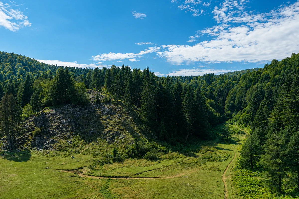 Menekşe Yaylası Kamp Görseli 3