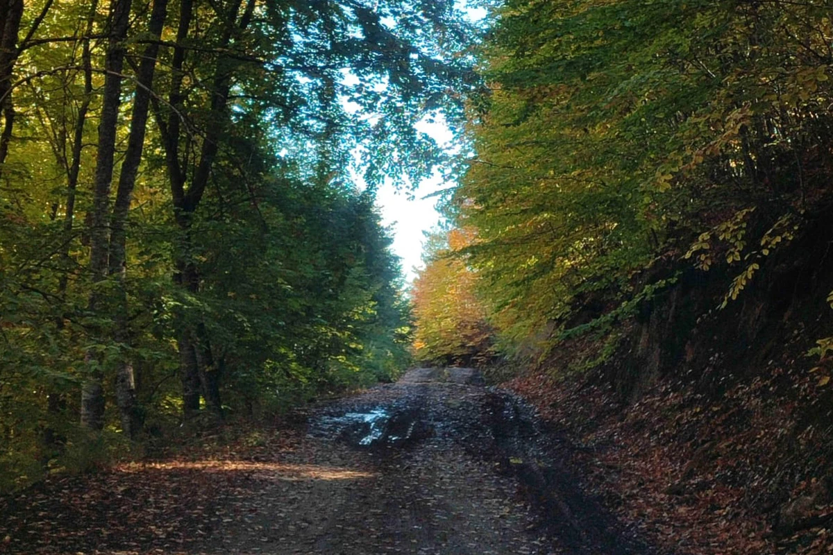 Murat Dağı Kamp Görseli 2