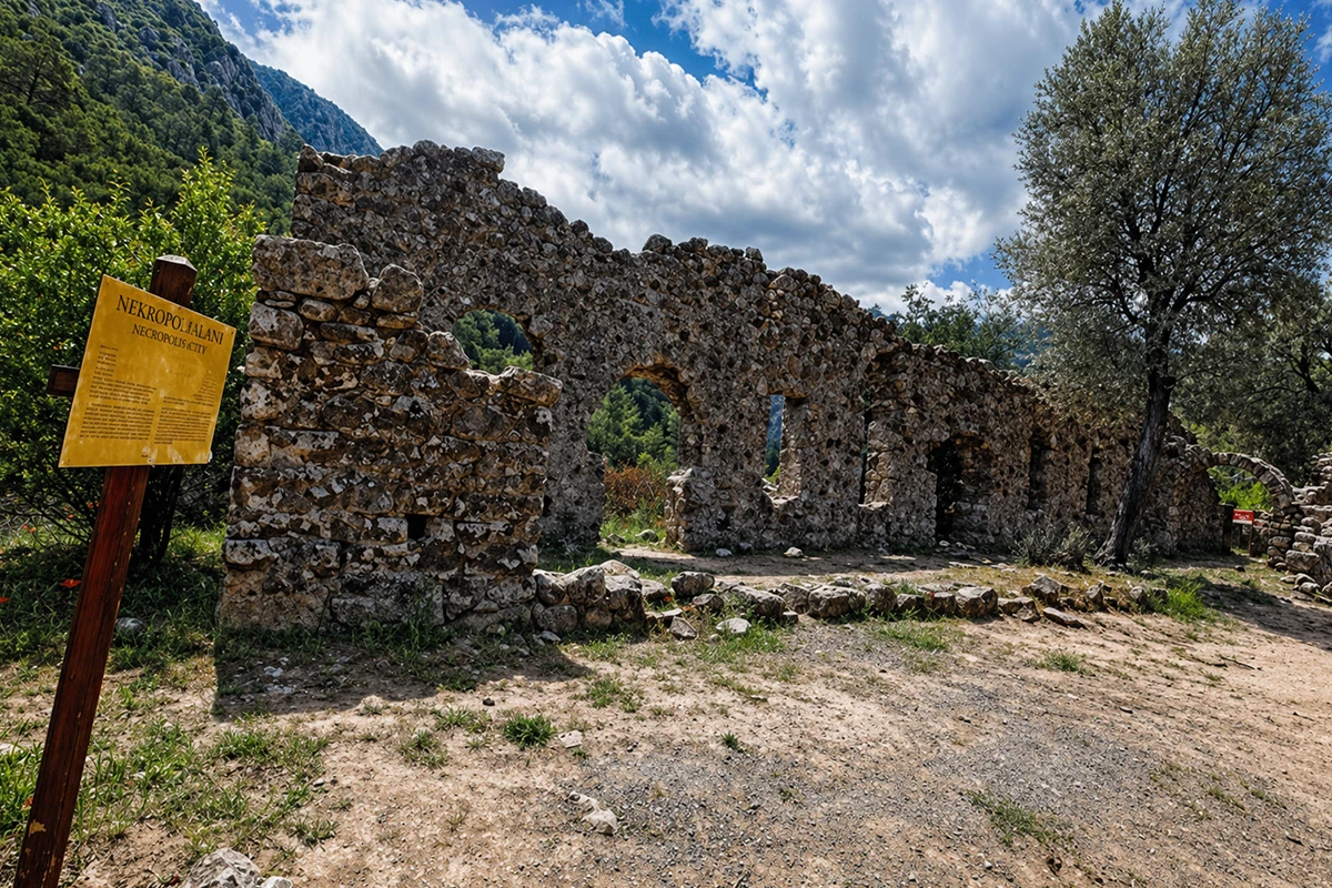 Olympos Kamp Alanı