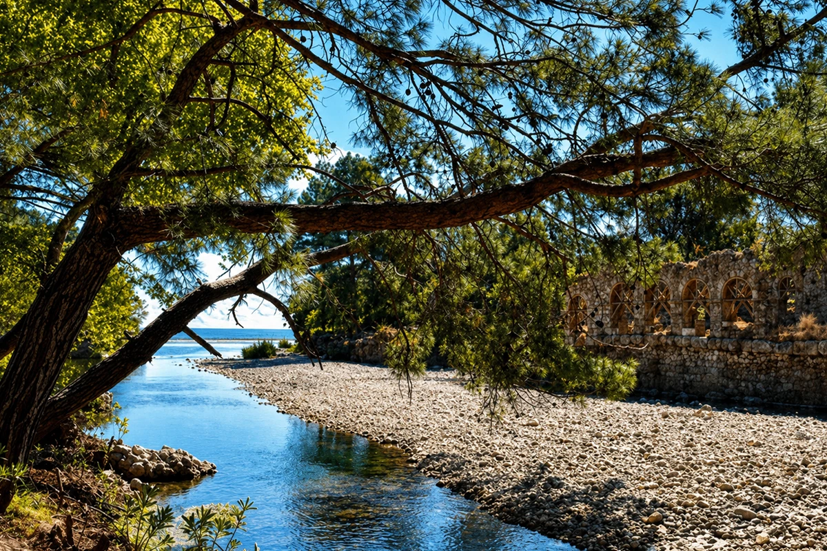 Olympos Kamp Görseli 3