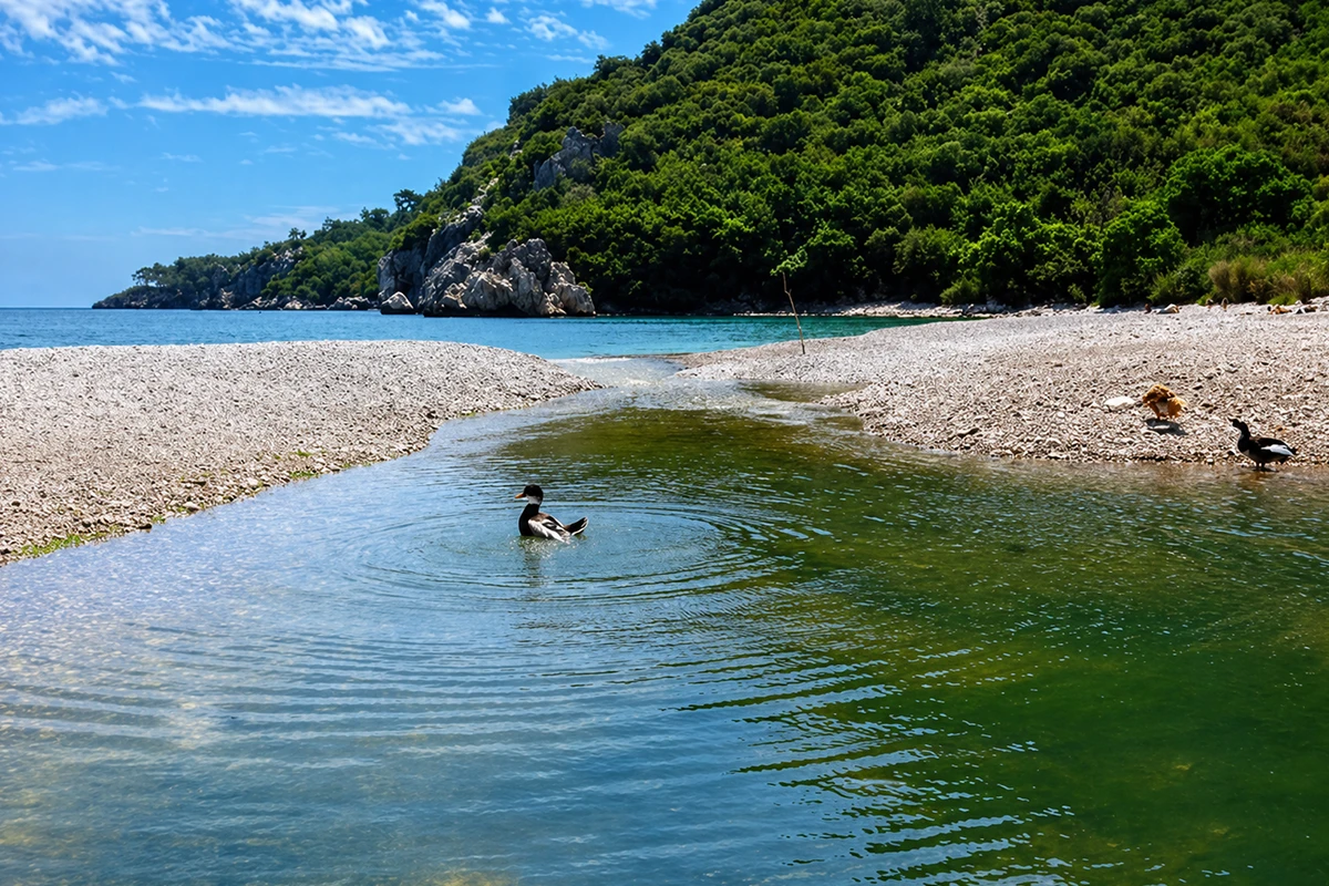 Olympos Kamp Görseli 6
