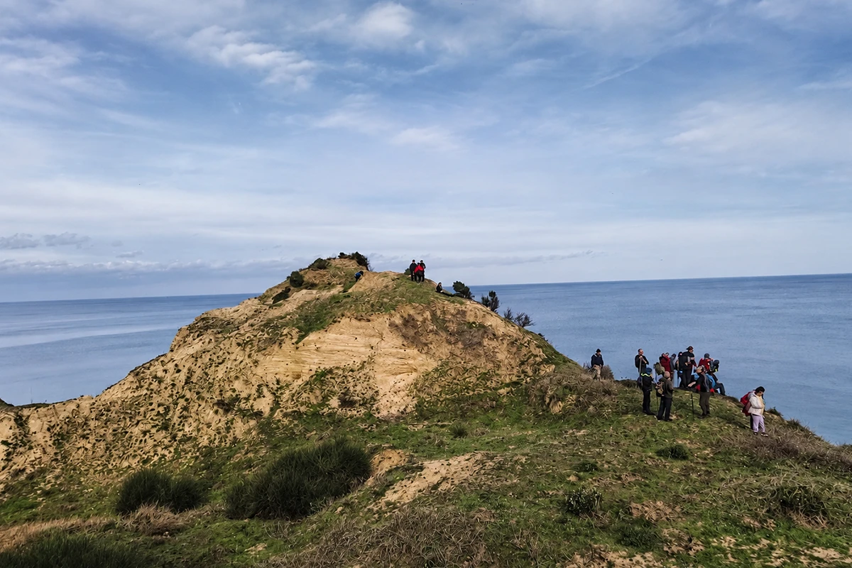 Ormanlı Plajı Kamp Görseli 3