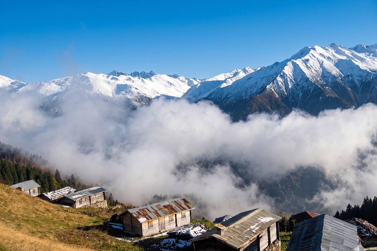 Pokut Yaylası Kamp Alanı