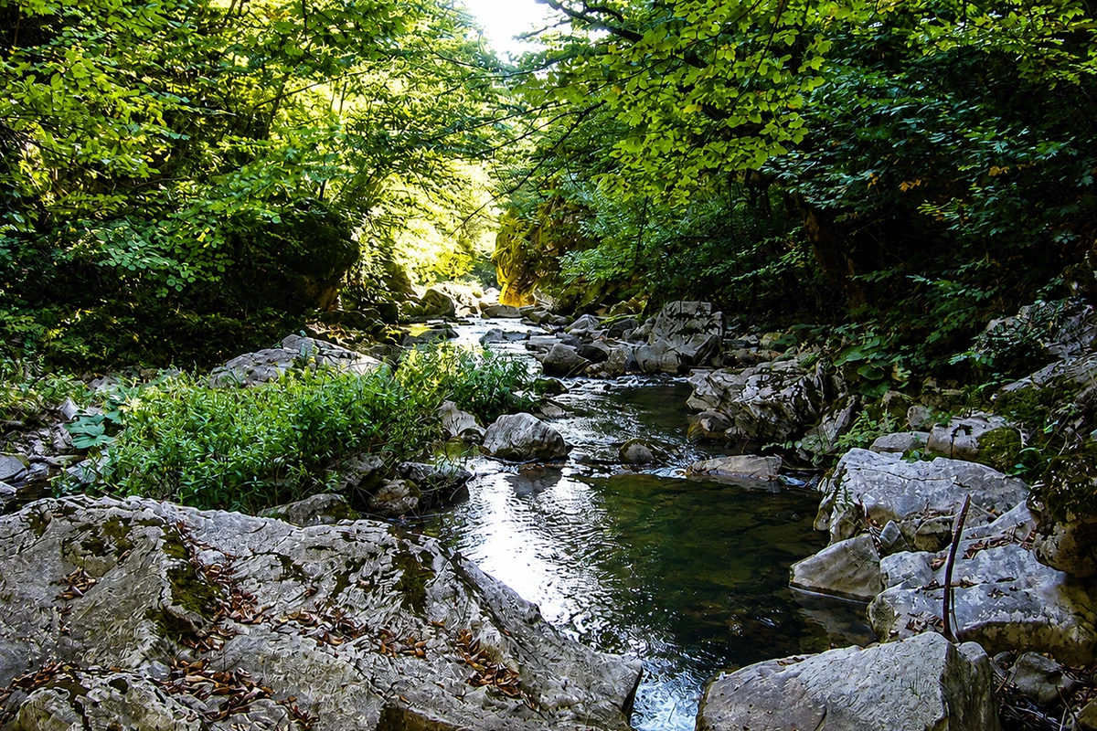Sansarak Kanyonu Kamp Görseli 4