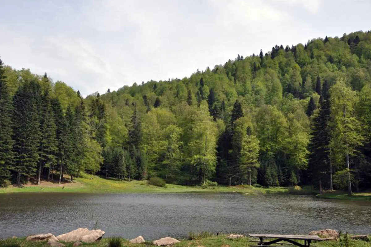 Torkul Göleti Kamp Görseli 3